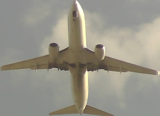 Airplane Picture