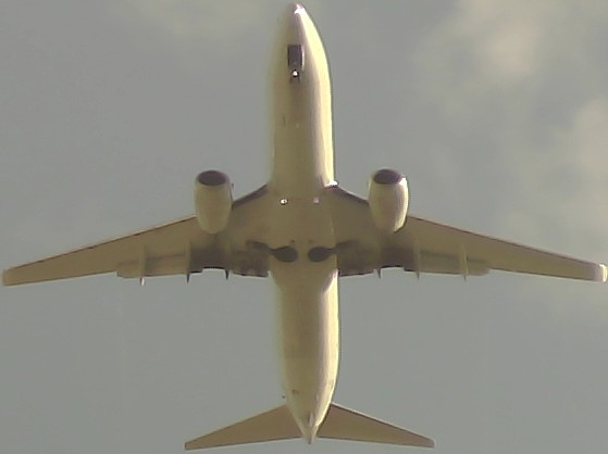 Airplane Picture