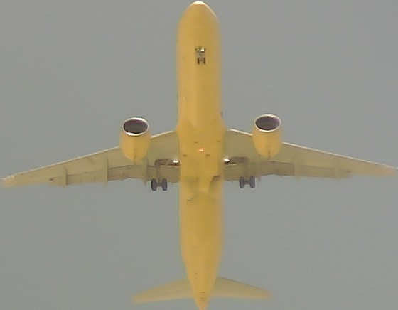 Airplane Picture