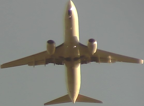 Airplane Picture