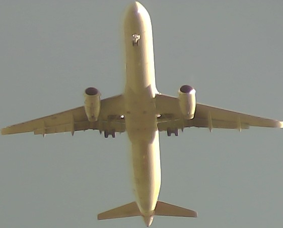 Airplane Picture