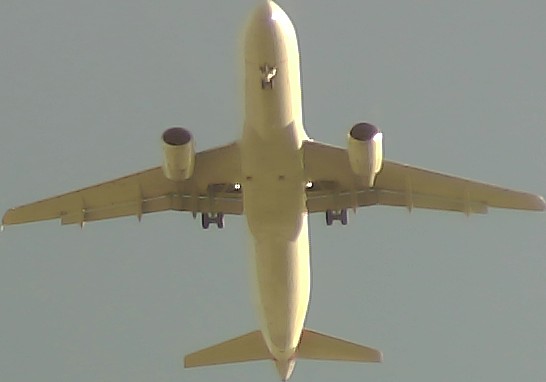 Airplane Picture