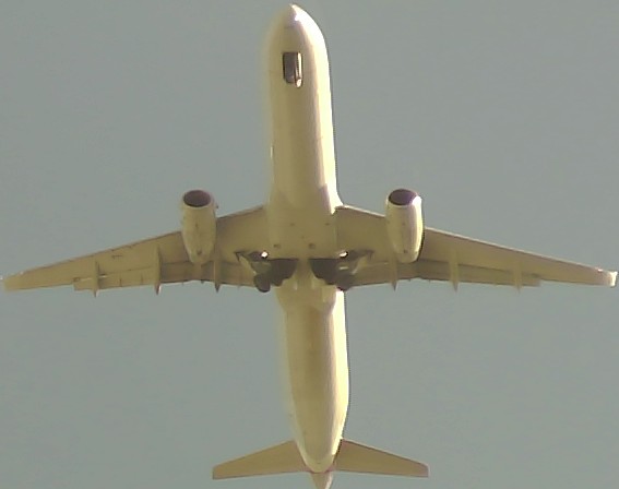 Airplane Picture