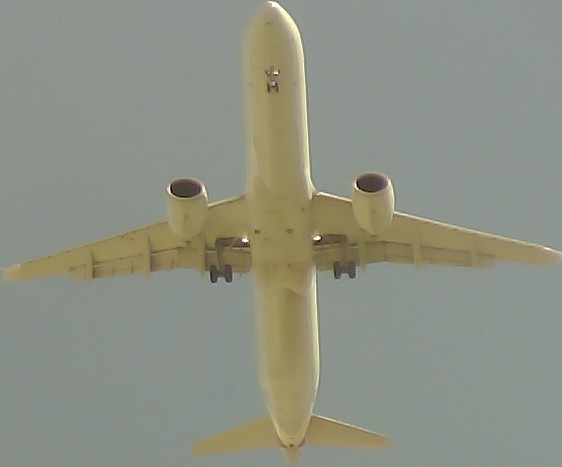 Airplane Picture