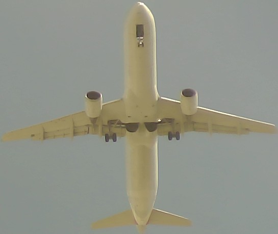 Airplane Picture