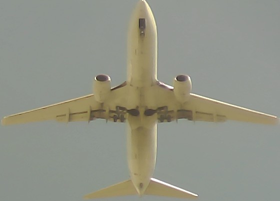 Airplane Picture