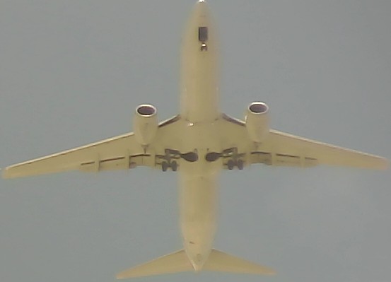 Airplane Picture