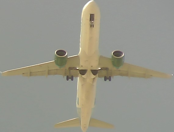 Airplane Picture