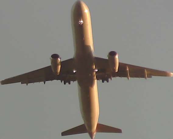 Airplane Picture