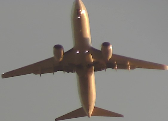 Airplane Picture