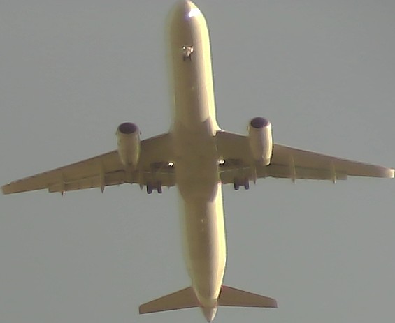 Airplane Picture