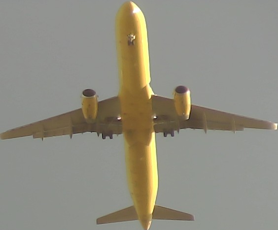 Airplane Picture