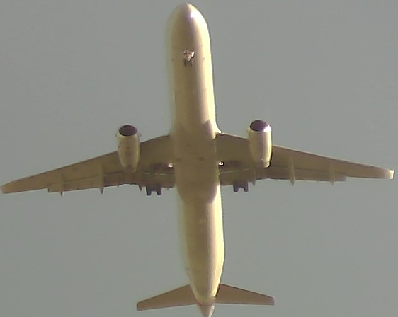 Airplane Picture