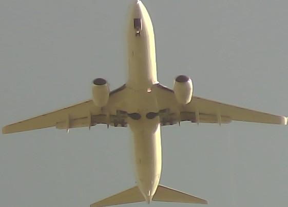 Airplane Picture