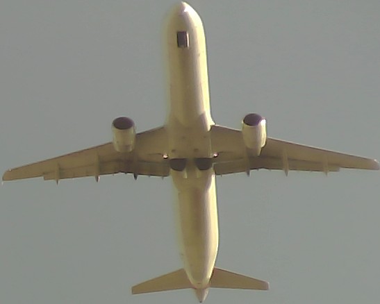 Airplane Picture