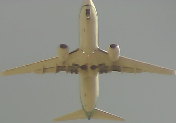 Airplane Picture