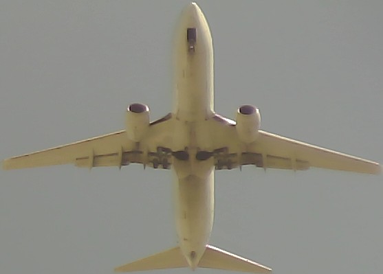Airplane Picture