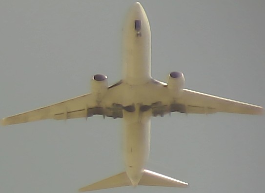 Airplane Picture