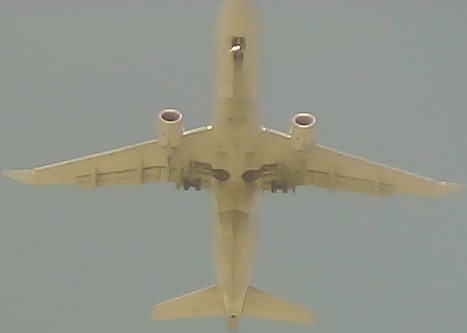Airplane Picture