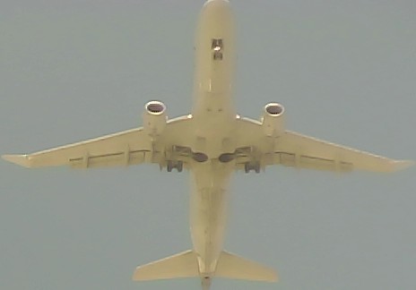 Airplane Picture