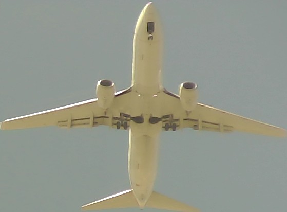 Airplane Picture