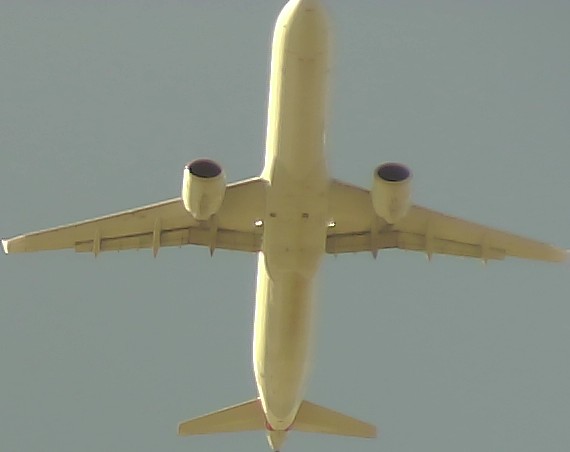 Airplane Picture