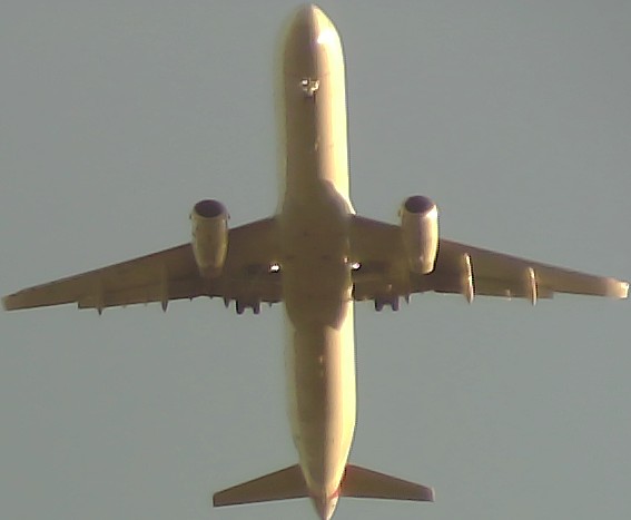 Airplane Picture