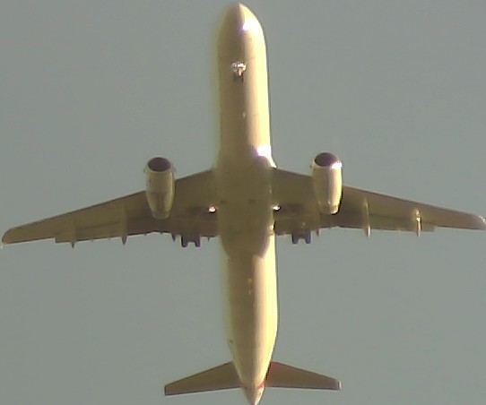 Airplane Picture