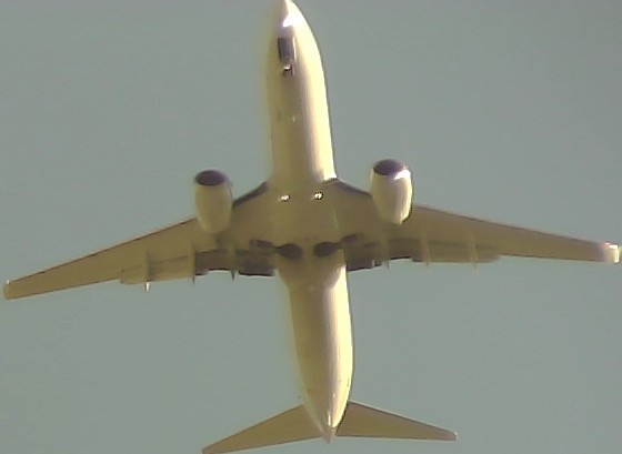 Airplane Picture