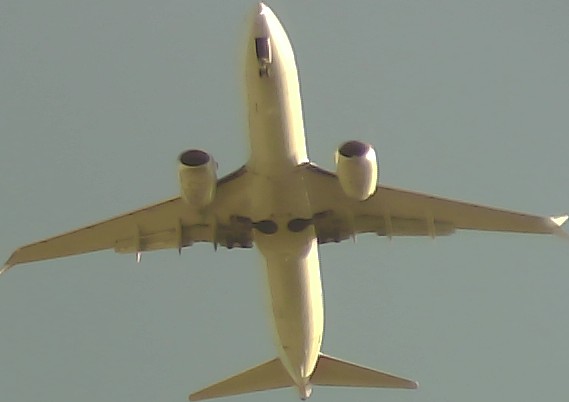 Airplane Picture