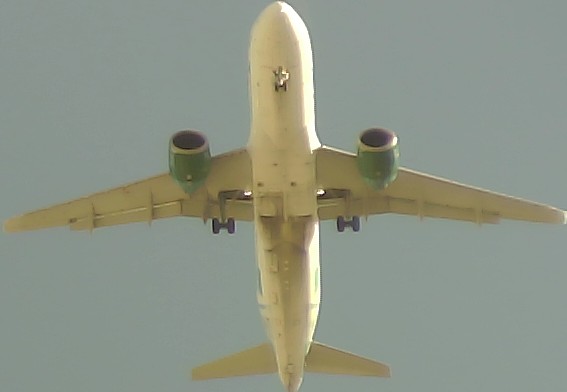 Airplane Picture