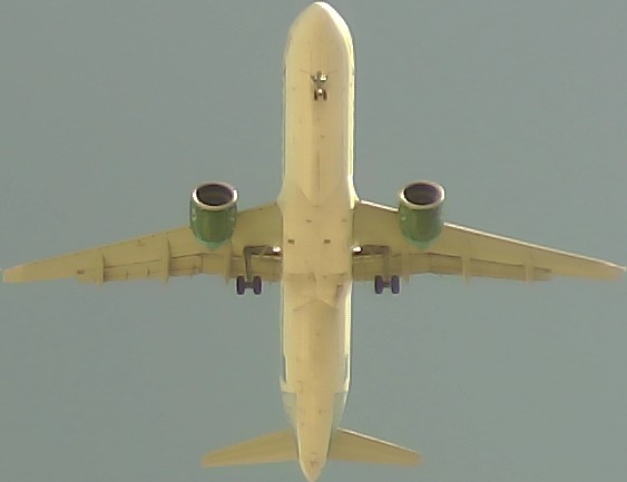 Airplane Picture