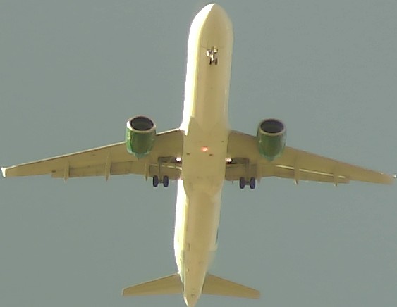 Airplane Picture