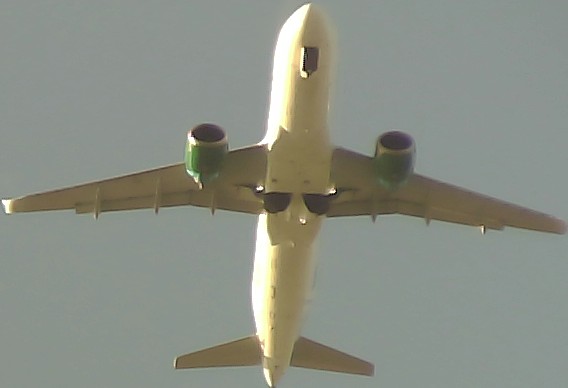 Airplane Picture