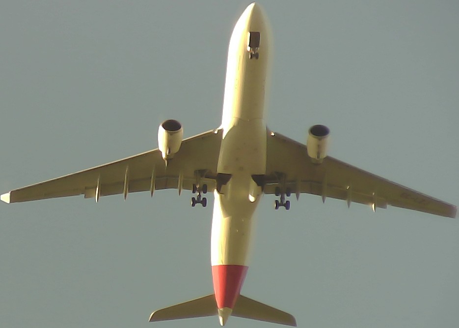 Airplane Picture