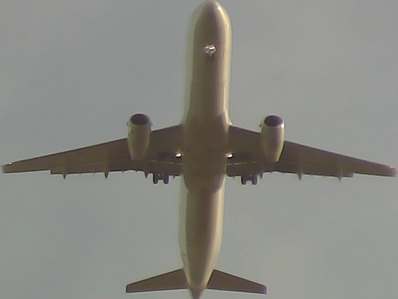 Airplane Picture