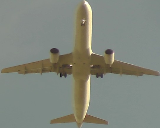 Airplane Picture
