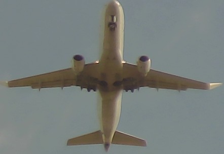 Airplane Picture