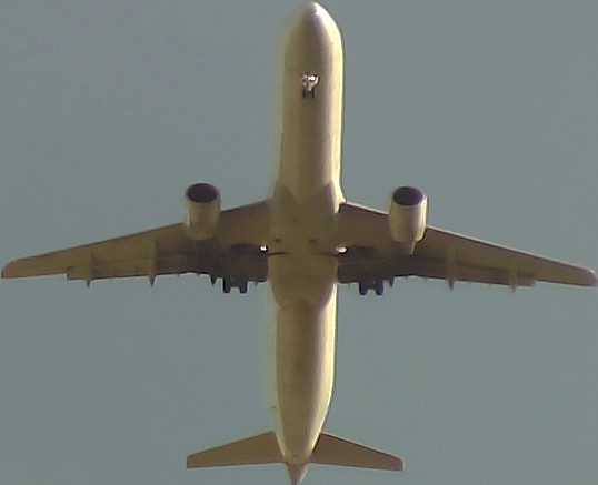 Airplane Picture