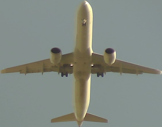 Airplane Picture