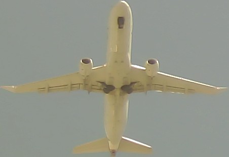 Airplane Picture
