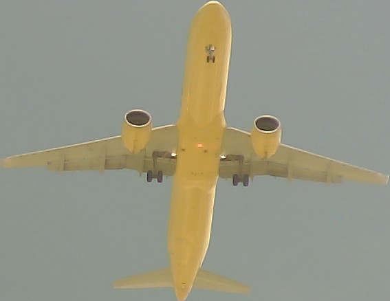 Airplane Picture