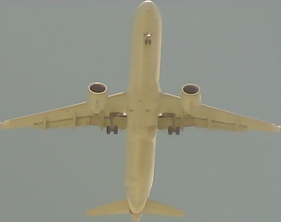 Airplane Picture