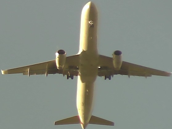 Airplane Picture