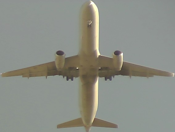 Airplane Picture