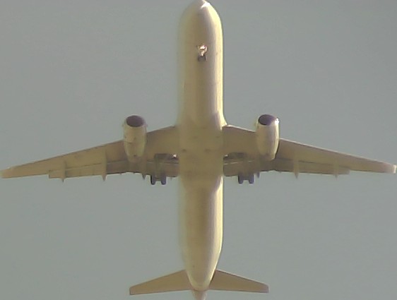 Airplane Picture
