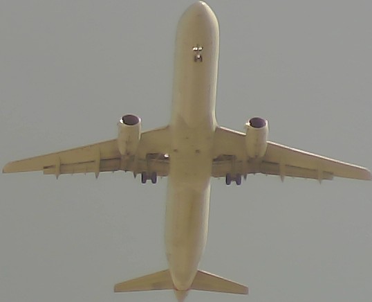 Airplane Picture