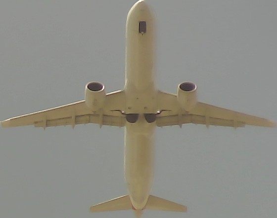 Airplane Picture