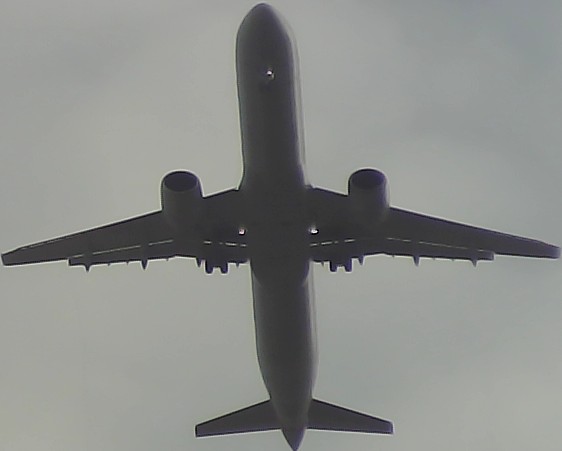 Airplane Picture