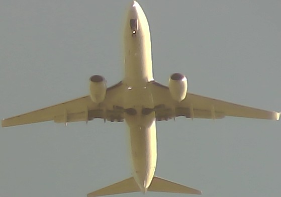 Airplane Picture